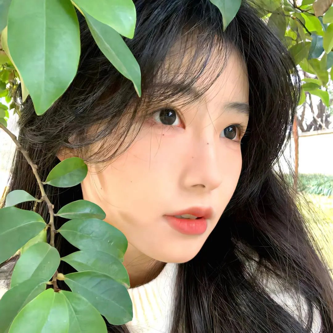 新游记